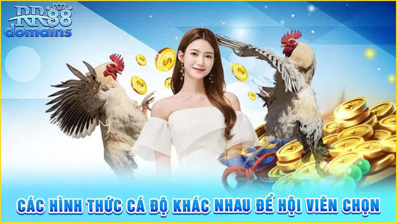 Các hình thức cá độ khác nhau để hội viên chọn
