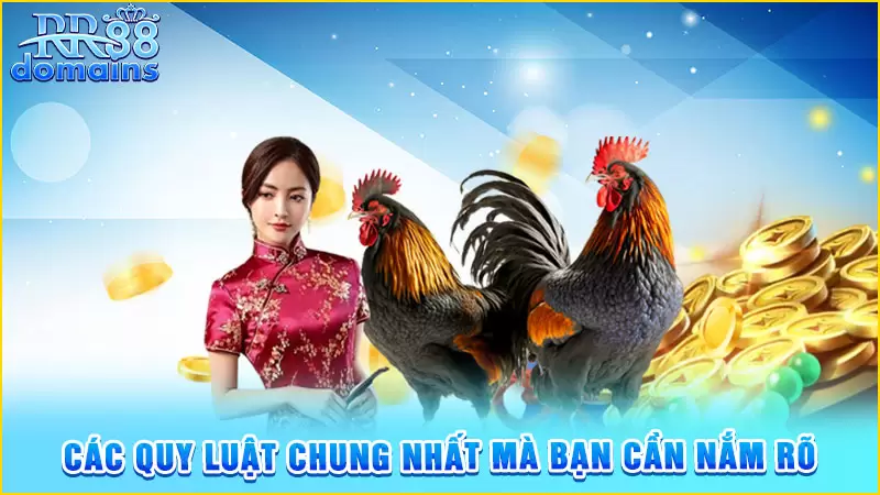 Các quy luật chung nhất mà bạn cần nắm rõ