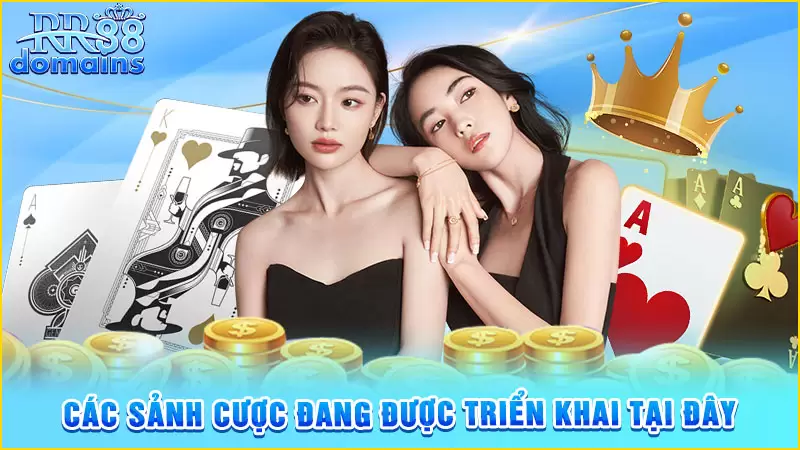 Các sảnh cược Game Bài đang được triển khai tại đây