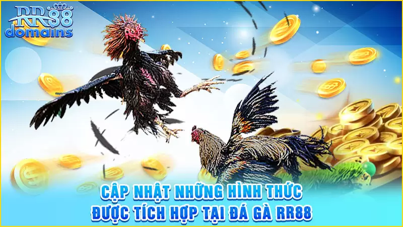 Hình thức đa dạng của đá gà RR88