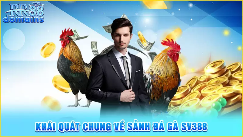 Khái quát về sảnh đấu gà SV388