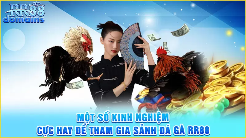 Một số kinh nghiệm cực hay để bạn tham gia tại đá gà RR88