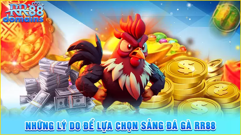 Những lý do để hội viên chọn trải nghiệm tại đá gà RR88