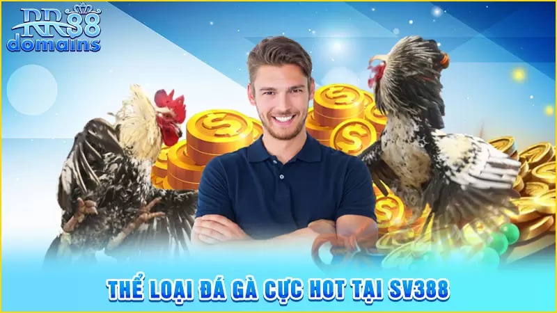 Thể loại đá gà cực hot tại SV388