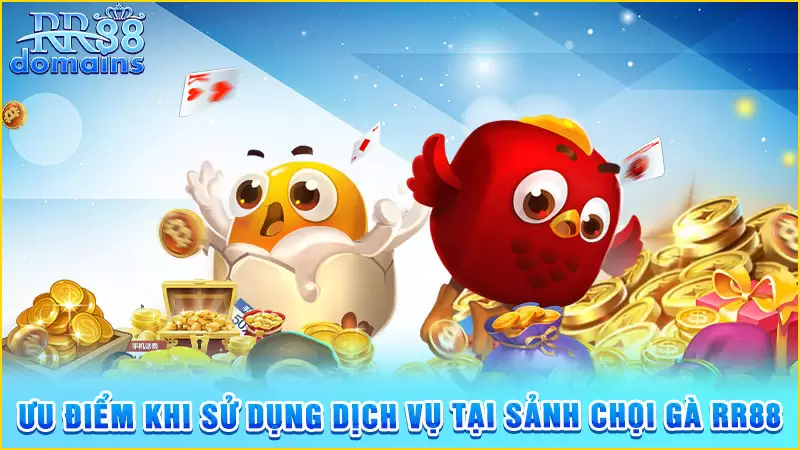 Ưu điểm khi sử dụng dịch vụ tại sảnh chọi gà RR88