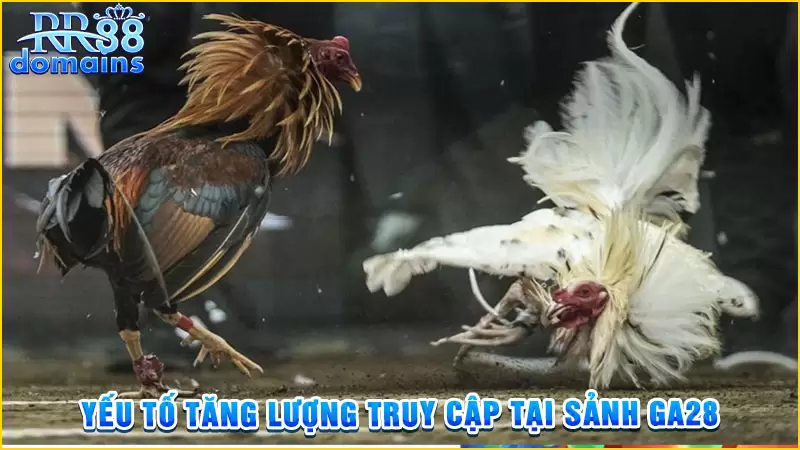 Yếu tố tăng lượng truy cập tại sảnh GA28