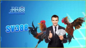 sv388